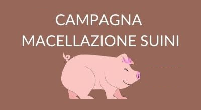 Campagna di macellazione Suini 2024/2025 – Uso Familiare